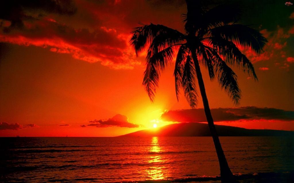 Hostel Bellavista Playa Малага Экстерьер фото